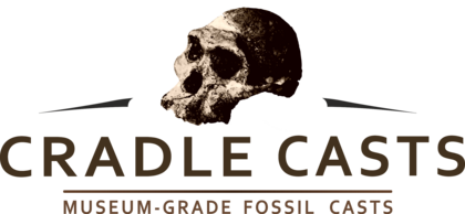 cradlecasts.co.za